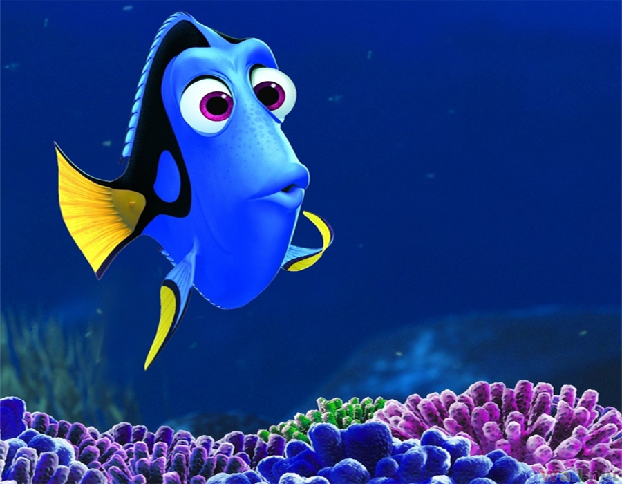 dory